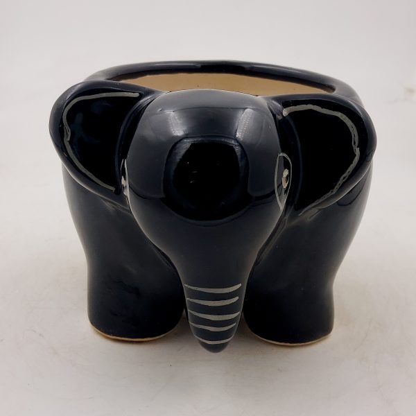 Black Elephant pot