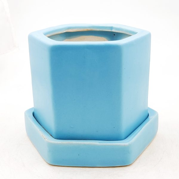 Blue hexagon pot with plate