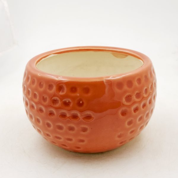 Round dotted pot