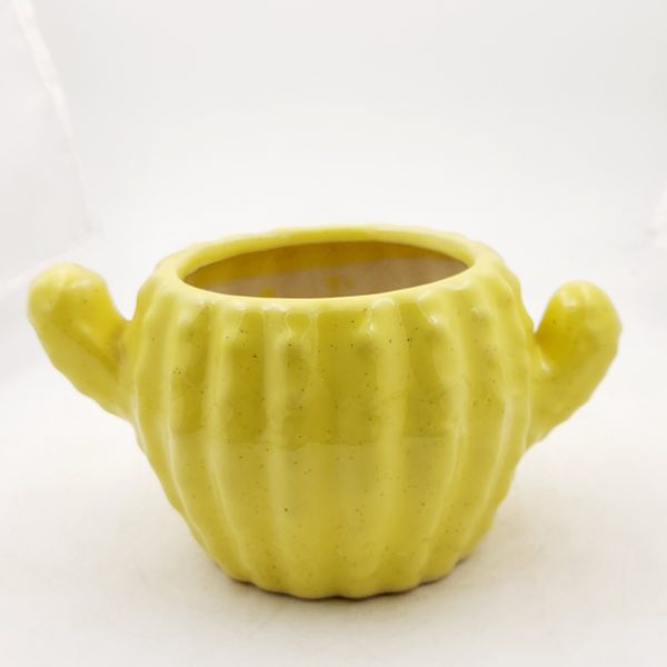 Ceramic Cactus pot - yellow