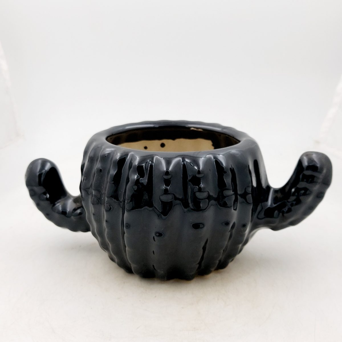 Ceramic Cactus pot - black