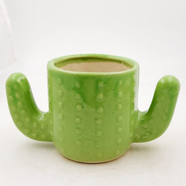 Ceramic Cactus pot - green