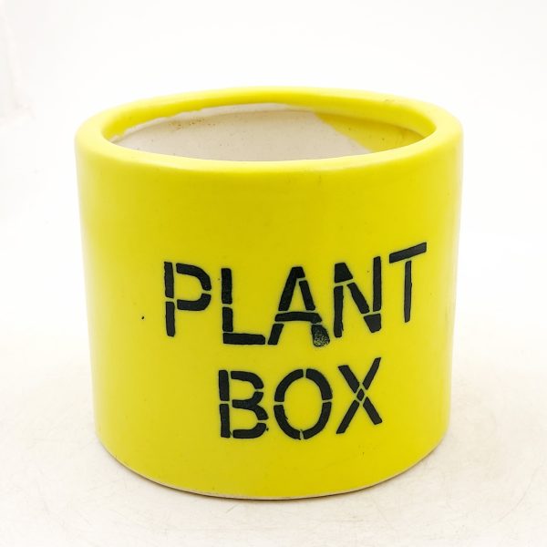 Plant box Round yellow