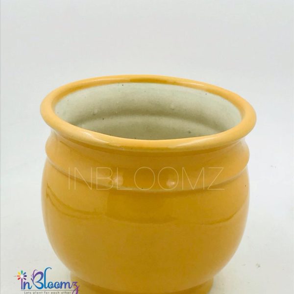 Yellow pot medium