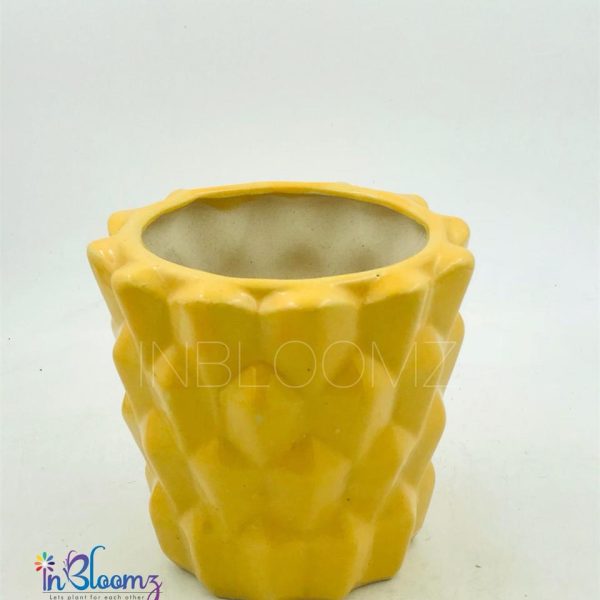 Yellow Pineapple Cone pot