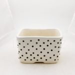 White pot with black dots