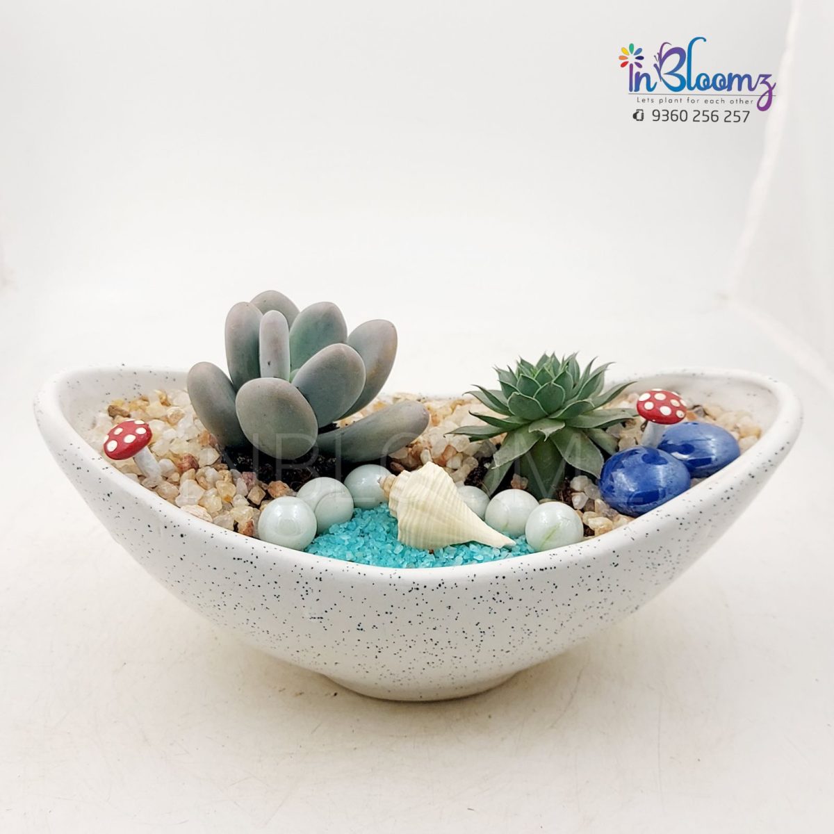 Small terrarium with succulents