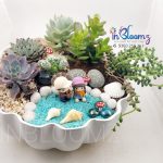 Terrarium in flower pot